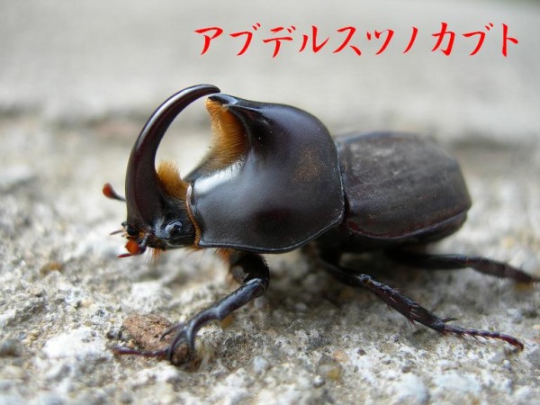 画像2