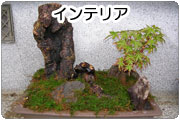 インテリア